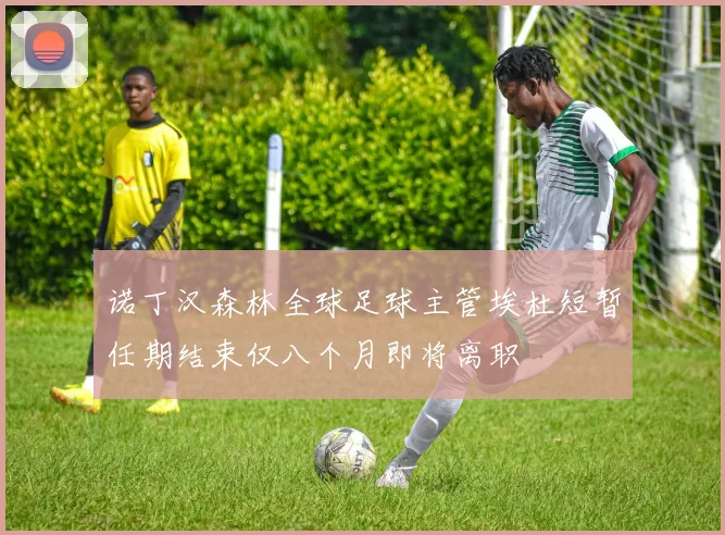 诺丁汉森林全球足球主管埃杜短暂任期结束仅八个月即将离职
