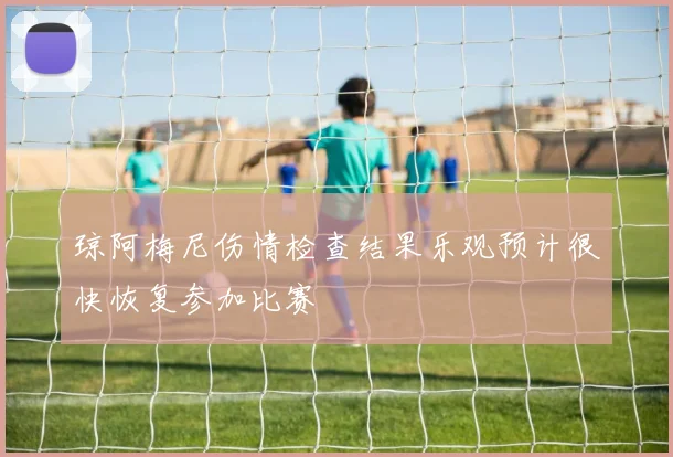琼阿梅尼伤情检查结果乐观预计很快恢复参加比赛