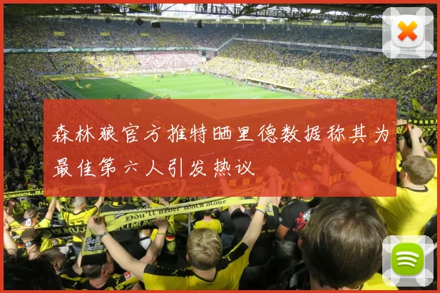 森林狼官方推特晒里德数据称其为最佳第六人引发热议