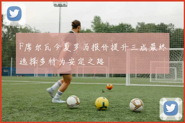 F席尔瓦今夏罗马报价提升三成最终选择多特为安定之路